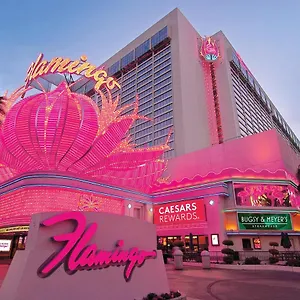 Flamingo Vegas & Casino Feriested